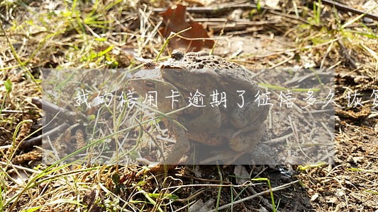 我的信用卡逾期了征信多久恢复 我的信用卡逾期了征信多久恢复