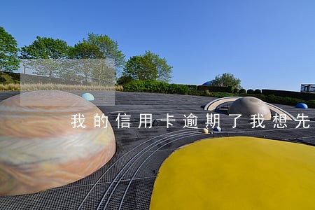 我的信用卡逾期了我想先还一点 我的信用卡逾期了我想先还一点
