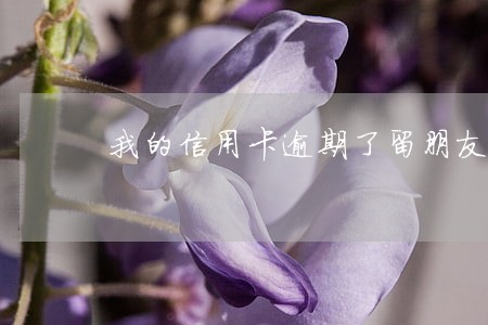 我的信用卡逾期了留朋友电话 我的信用卡逾期了留朋友电话