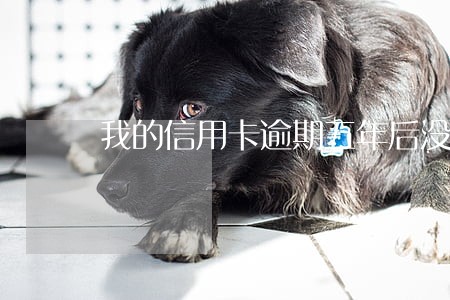 我的信用卡逾期五年后没了吗 我的信用卡逾期五年后没了吗