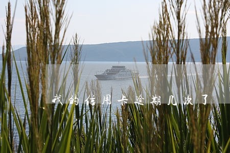 我的信用卡逾期几次了