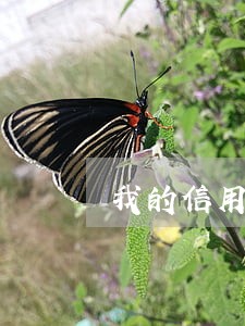 我的信用卡逾期怎么检讨 我的信用卡逾期怎么检讨