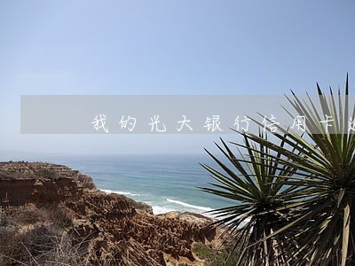 我的光大银行信用卡逾期了 我的光大银行信用卡逾期了