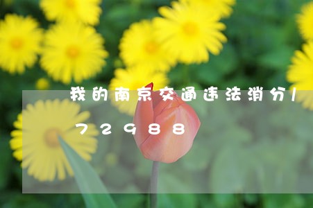 我的南京交通违法消分/2023020472988