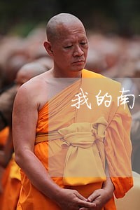 我的南京驾照违法未处理