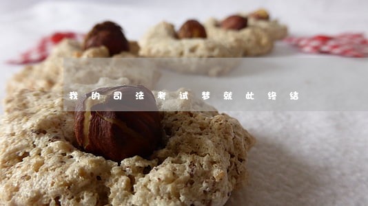 我的司法考试梦就此终结 我的司法考试梦就此终结