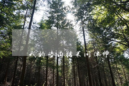 我的咨询结果问律师 我的咨询结果问律师