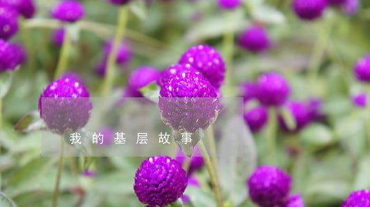我的基层故事