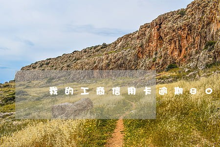 我的工商信用卡逾期800 我的工商信用卡逾期800