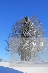 我的建行快贷逾期3个月了 我的建行快贷逾期3个月了