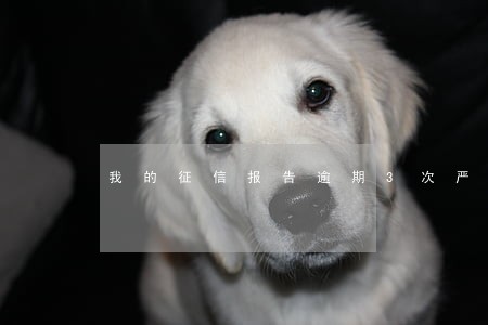 我的征信报告逾期3次严重吗 我的征信报告逾期3次严重吗