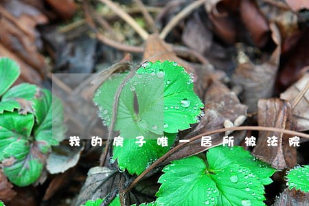 我的房子唯一居所被法院拍卖 我的房子唯一居所被法院拍卖