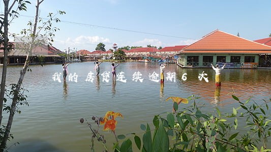 我的房贷连续逾期6次 我的房贷连续逾期6次
