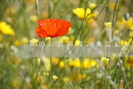 我的房贷逾期2天会记不良吗 我的房贷逾期2天会记不良吗