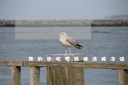 我的手机零钱被法院冻结了 我的手机零钱被法院冻结了