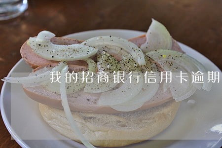 我的招商银行信用卡逾期两年多了