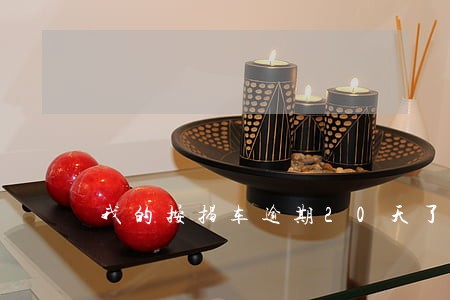 我的按揭车逾期20天了
