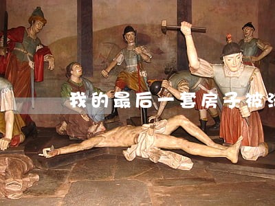 我的最后一套房子被法院执行 我的最后一套房子被法院执行