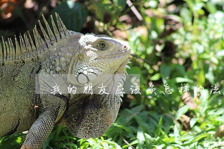 我的朋友应该负怎样的法律责任 我的朋友应该负怎样的法律责任