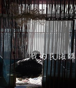 我的民法课小作文 我的民法课小作文