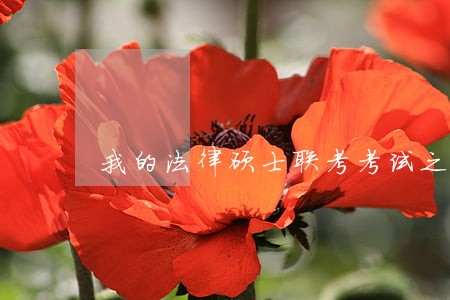 我的法律硕士联考考试之路 我的法律硕士联考考试之路