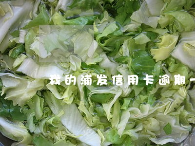 我的浦发信用卡逾期一个月 我的浦发信用卡逾期一个月