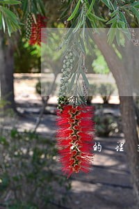我的理想是当律师结尾 我的理想是当律师结尾