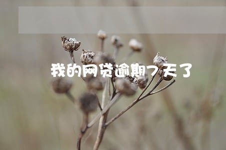 我的网贷逾期7天了 我的网贷逾期7天了
