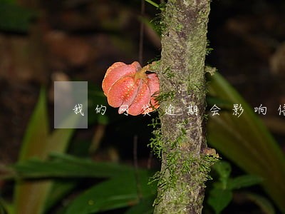 我的网贷逾期会影响信用卡吗 我的网贷逾期会影响信用卡吗