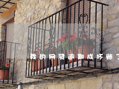 我的网贷逾期成坏账了怎么办 我的网贷逾期成坏账了怎么办