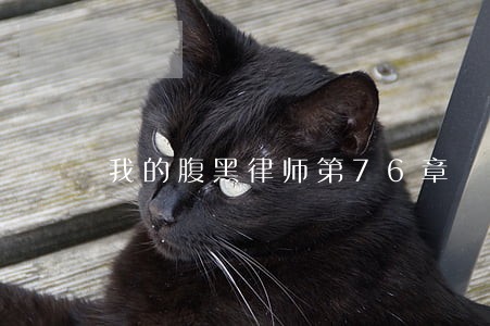 我的腹黑律师第76章 我的腹黑律师第76章