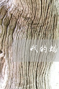 我的蚂蚁花呗逾期半年了我还清了 我的蚂蚁花呗逾期半年了我还清了