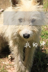 我的评论违法了 我的评论违法了