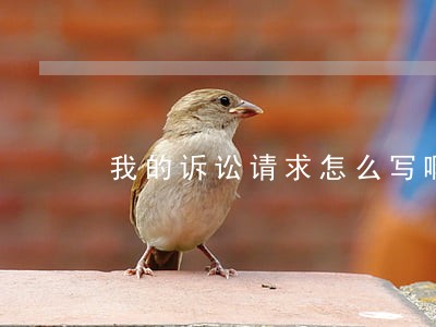 我的诉讼请求怎么写啊 我的诉讼请求怎么写啊
