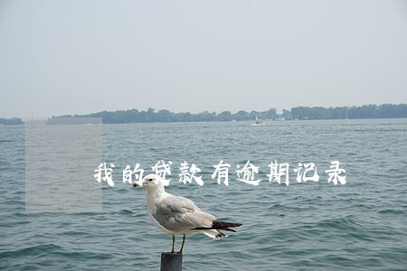 我的贷款有逾期记录 我的贷款有逾期记录