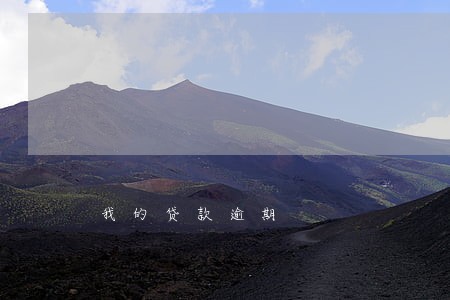 我的贷款逾期 我的贷款逾期