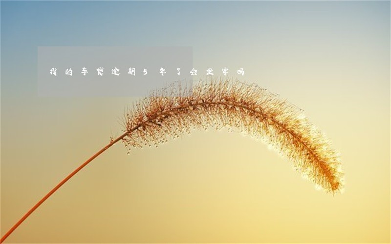 我的车贷逾期5年了会坐牢吗 我的车贷逾期5年了会坐牢吗