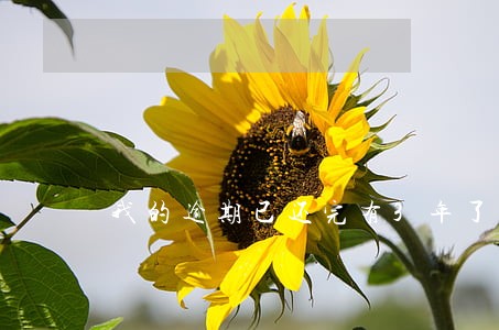 我的逾期已还完有3年了能买房吗 我的逾期已还完有3年了能买房吗
