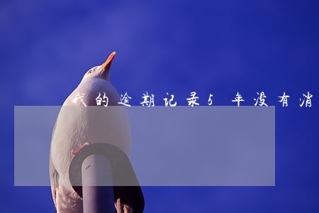我的逾期记录5年没有消除 我的逾期记录5年没有消除