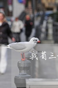 我省三级法院互派干部挂职锻炼 我省三级法院互派干部挂职锻炼