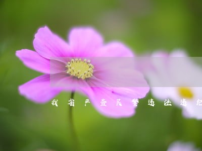 我省严查民警违法违纪 我省严查民警违法违纪