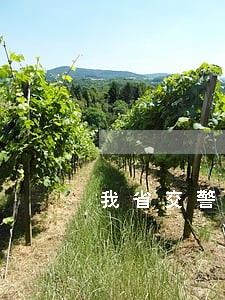 我省交警部门严查旅游季交通违法