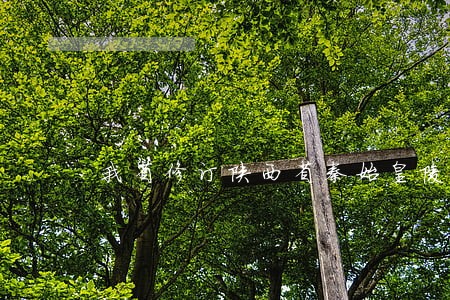 我省修订陕西省秦始皇陵保护条例 我省修订陕西省秦始皇陵保护条例
