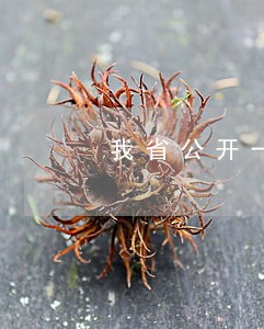 我省公开一批突出环境违法问题