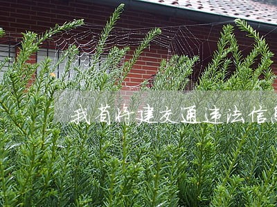 我省将建交通违法信息管理系统 我省将建交通违法信息管理系统
