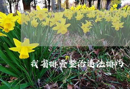 我省排查整治违法排污 我省排查整治违法排污
