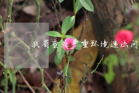 我省查处严重环境违法问题 我省查处严重环境违法问题