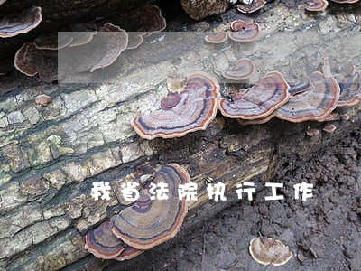 我省法院执行工作 我省法院执行工作