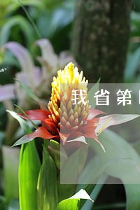 我省第四次律师代表大会在筑召开