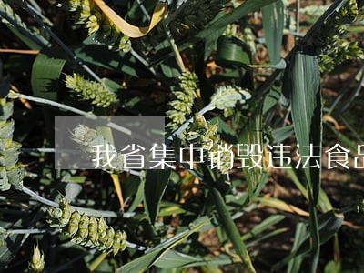 我省集中销毁违法食品 我省集中销毁违法食品